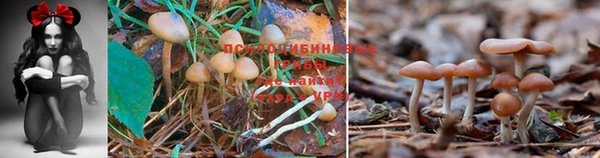 мефедрон VHQ Кулебаки