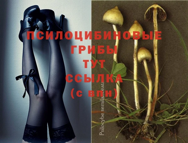 каннабис Куйбышев